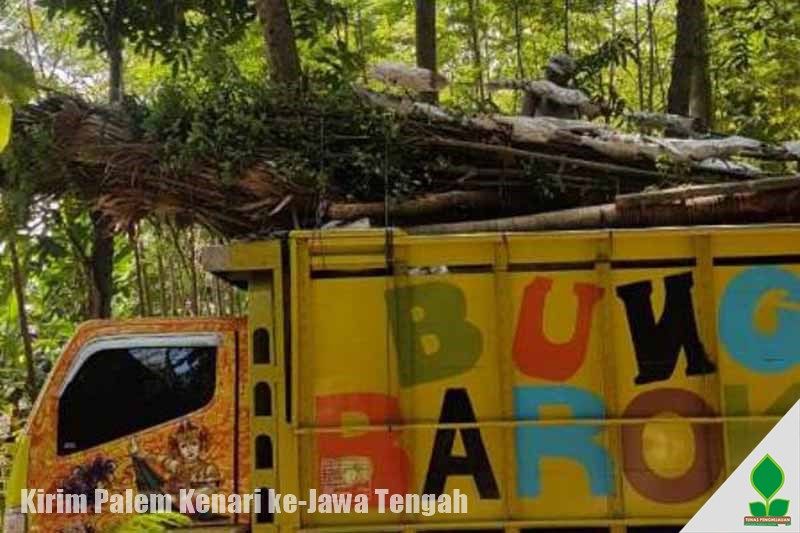 Kirim Palem Kenari ke-Jawa Tengah