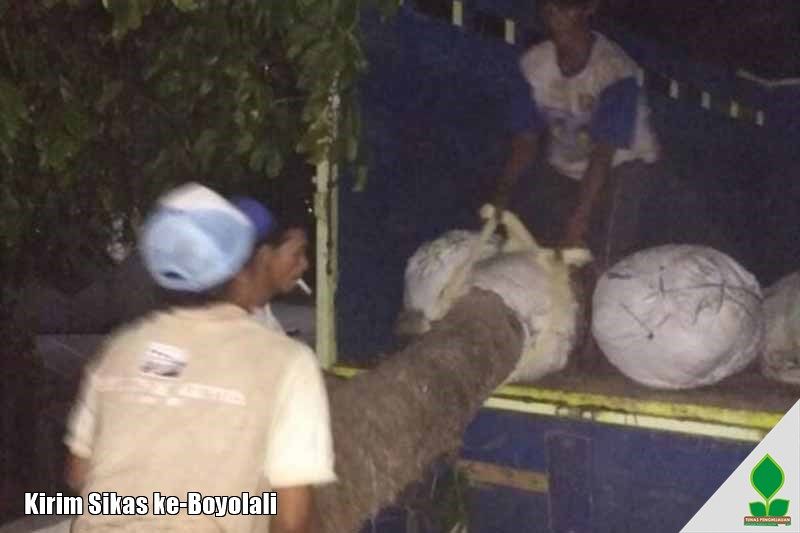 Kirim Palem Sikas ke-Boyolali