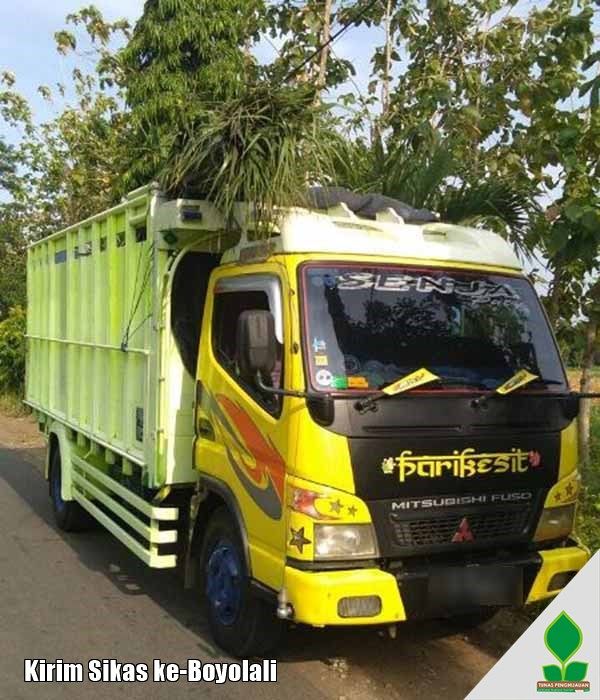 Kirim Palem Sikas ke-Boyolali