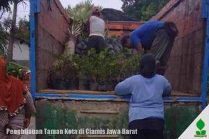 Aneka Tanaman untuk Taman ke-Ciamis Jawa Barat