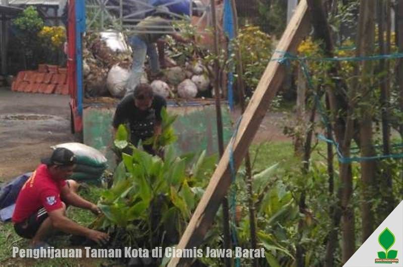 daftar harga tanaman di ciamis