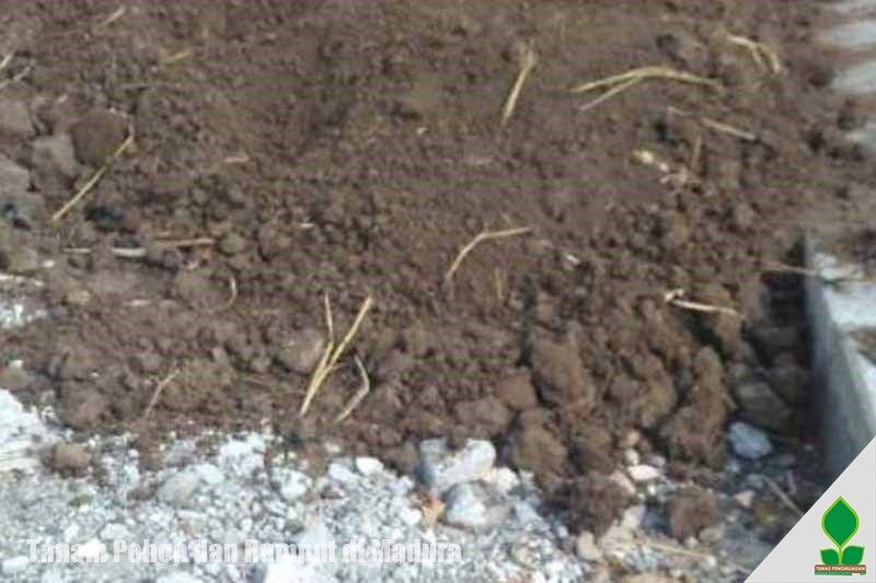 jual tanah subur di jawa timur