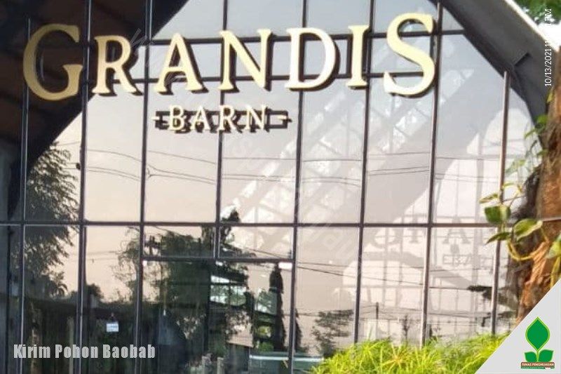 jasa tanam baobab di karanganyar