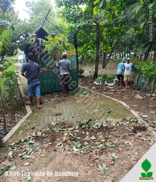 Kirim 5.000 Tanaman untuk PT BAF Indonesia