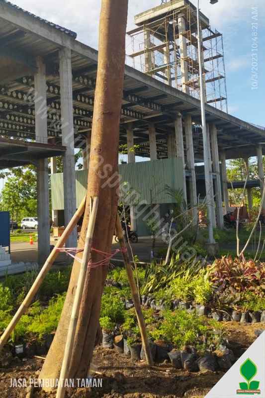 Jasa Pembuatan Taman di Pondok Jawa Barat
