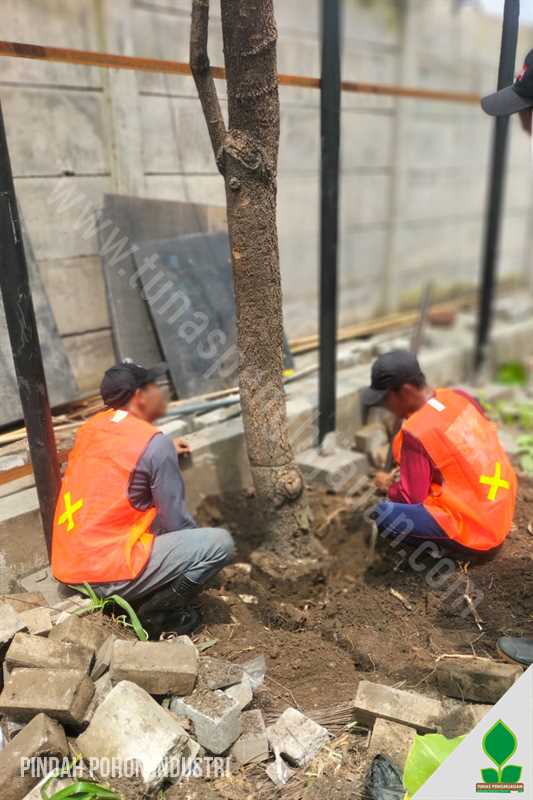 Jasa Pindah Pohon Kawasan Industri Surabaya Murah