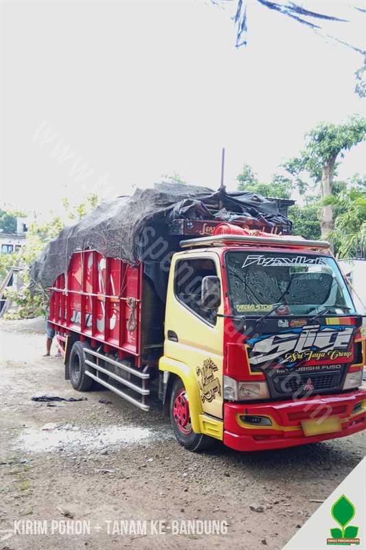 Puluhan Pohon Trembesi, Pule, dan Norfolk Dikirim ke Bandung